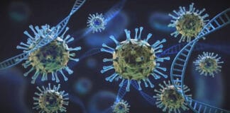 ഒമാനിലും ഒമ്രികോൻ സ്ഥിരീകരിച്ചു