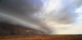 ഒമാനിൽ അതി ശക്തമായ മണൽ കാറ്റുകൾക്ക് സാധ്യത