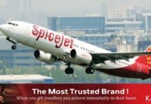 സ്പൈസ് ജെറ്റ് വിമാനത്തിന്റെ 50 % വിമാനങ്ങൾക്ക് 8 ആഴ്ച്ചത്തേയ്ക്ക് വിലക്കേർപ്പെടുത്തി ഡിജിസിഎ