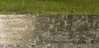 തെറ്റായ കാലാവസ്ഥാ പ്രവചനത്തിന് ഒമാനിൽ 50,000 റിയാൽ വരെ പിഴ