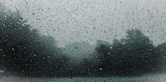 അൽ വുസ്ത, ദോഫാർ ഗവർണറേറ്റുകളിൽ കനത്ത മഴയ്ക്ക് സാധ്യത