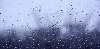 മഴയെത്തുടർന്ന് വാദി ദർബത്ത് താൽക്കാലികമായി അടച്ചു