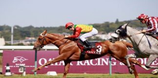 ദോഹ കപ്പിൽ ഒന്നാം സ്ഥാനം നേടി റോയൽ കാവൽറിയുടെ സോക്കോ