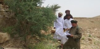 വംശനാശഭീഷണി നേരിടുന്ന ‘മർ’ മരത്തിന്റെ സംരക്ഷണത്തിന് പുതിയ പദ്ധതി ആരംഭിച്ചു