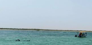 അൽ സവാദി ബീച്ചിൽ ഒരു കുടുംബത്തിലെ മൂന്ന് പേർ മുങ്ങിമരിച്ചു