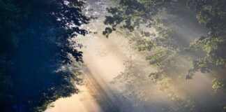 ആദം-ഹിമ റോഡിൽ ദൃശ്യപരത കുറഞ്ഞു