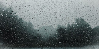 ഒമാനിൽ ഏറ്റവും കൂടുതൽ മഴ ലഭിച്ചത് അൽ ദാഹിറ ഗവർണറേറ്റിൽ