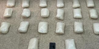 20 കിലോ മയക്കുമരുന്നുമായി പ്രവാസി പിടിയിൽ