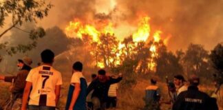 അൾജീരിയയിൽ കാട്ടുതീയിൽ അകപ്പെട്ടവർക്ക് ഒമാൻ അനുശോചനം രേഖപ്പെടുത്തി