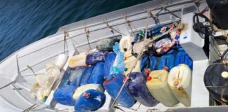 എണ്ണ ഉൽപന്നങ്ങൾ കടത്താൻ ശ്രമിച്ച രണ്ട് പ്രവാസികൾ അറസ്റ്റിൽ