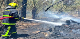 ഒമാനിലുണ്ടായ 2 തീപിടിത്തങ്ങൾ കെടുത്തി സിഡിഎഎ
