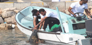 ഒമാനിലെ പവിഴപ്പുറ്റുകൾ വൃത്തിയാക്കാൻ പരിസ്ഥിതി അതോറിറ്റികാമ്പയിൻ സംഘടിപ്പിക്കുന്നു