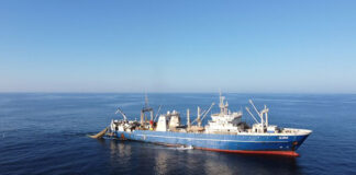 സുസ്ഥിര മത്സ്യബന്ധനത്തിനുള്ള സർട്ടിഫിക്കേഷൻ നേടി അൽ വുസ്ത ഫിഷറീസ് ഇൻഡസ്ട്രീസ്സ്