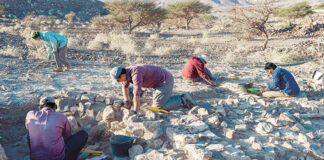 ഒമാനിലെ വിവിധ ഗവർണറേറ്റുകളിൽ പുരാവസ്തു സർവേകളും ഉത്ഖനന പരിപാടികളും ആരംഭിച്ചു