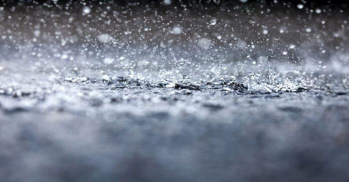 IMG-20221211-WA0007