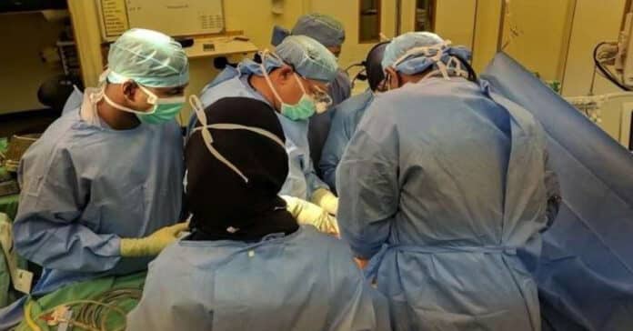 organ donation