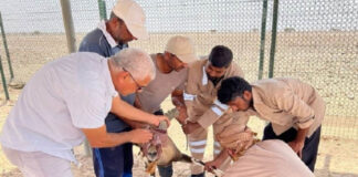 ഒമാന്റെ ജീൻബാങ്ക് പദ്ധതിയുടെ ആദ്യഘട്ടത്തിന് പരിസ്ഥിതി അതോറിറ്റി അന്തിമരൂപം നൽകി