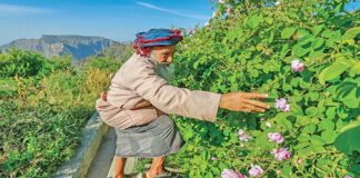സഞ്ചാരികളെ ആകർഷിച്ച് ജബൽ അഖ്ദർ