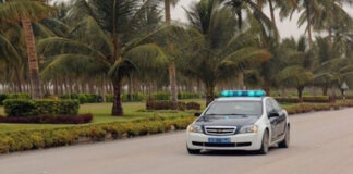 മസ്കറ്റ് നൈറ്റ്സ്: ഗതാഗതക്കുരുക്ക് പരിഹരിക്കാനുള്ള പദ്ധതി റോയൽ ഒമാൻ പോലീസ് പ്രഖ്യാപിച്ചു