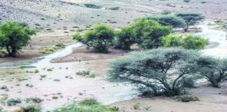 ഒമാൻ ഗവർണറേറ്റുകളിൽ കനത്ത മഴ