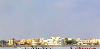 സോഹാറിൽ പരമ്പരാഗത ബോട്ട് തുഴയൽ മത്സരം സംഘടിപ്പിച്ചു