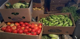 മസ്കത്ത് മുനിസിപ്പാലിറ്റി സീബ് മാർക്കറ്റിൽ പരിശോധന നടത്തി