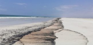 ഒമാനിലെ എണ്ണ ചോർച്ചക്കെതിരെ നടപടികൾ സ്വീകരിച്ച് പരിസ്ഥിതി അതോറിറ്റി