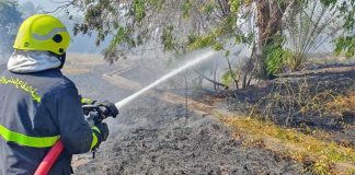 സീബ് വിലായത്തിൽ കൃഷിയിടം തീപിടിച്ച് നശിച്ചു