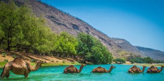 മിഡിൽ ഈസ്റ്റിലെ മികച്ച വിനോദസഞ്ചാര കേന്ദ്രങ്ങളുടെ സൂചികയിൽ മുന്നേറി ഒമാൻ