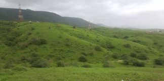 ഖരീഫ് സീസണിന്റെ വരവറിയിച്ച് സലാലയിൽ ചാറ്റൽ മഴ