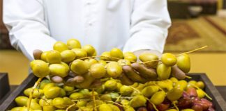 ബിദിയയിൽ ഈത്തപ്പഴ വിളവെടുപ്പ്: ഉത്സവമായി ‘തബ്സീൽ’