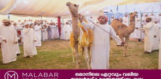 ബിദിയ ഒട്ടകോത്സവം 2023-ന് തുടക്കമായി