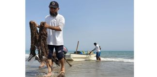 നോർത്ത് അൽ ബത്തിന ഗവർണറേറ്റിൽ പവിഴപ്പുറ്റുകളുടെ ശുചീകരണ കാമ്പയിൻ ആരംഭിച്ചു