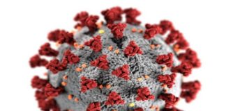 ഒമാനിൽ കോ വിഡ് ജെഎൻ.1 വേരിയന്റ് കേസുകൾ കണ്ടെത്തി