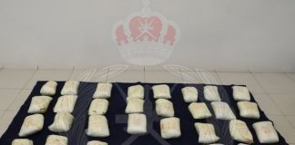 ഒമാനിലേക്ക് മയ ക്കുമരുന്ന് കടത്താൻ ശ്രമിച്ച രണ്ട് പേർ പിടിയിൽ