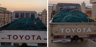 അൽ വുസ്ത ഗവർണറേറ്റിൽ അനധികൃത മത്സ്യബന്ധന വലകൾ പിടികൂടി