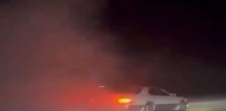 അപകടകരമായ രീതിയിൽ വാഹനം ഓടിച്ചു ; നോർത്ത് ഷർഖിയയിൽ ഡ്രൈവറെ പോലീസ് അറസ്റ്റ് ചെയ്തു