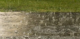 ഒമാൻ സുൽത്താനേറ്റിന്റെ വിവിധ ഗവർണറേറ്റുകളിൽ കനത്ത മഴയ്ക്ക് സാധ്യത