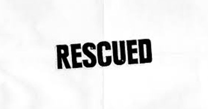 rescued
