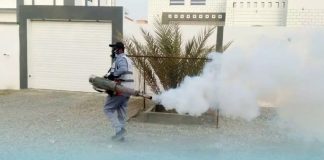 ഈഡിസ് ഈജിപ്തി കൊതുകിനെ തുരത്താൻ നടപടികൾ ശക്തമാക്കി സുവൈഖ് മുൻസിപ്പാലിറ്റി