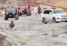 വാദിയിൽ വാഹനങ്ങളിൽ അഭ്യാസ പ്രകടനം നടത്തി; ഒമാനിൽ നിരവധി പേർ അറസ്റ്റിൽ