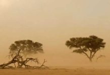 ഒമാനിൽ വിവിധയിടങ്ങളിൽ പൊടിക്കാറ്റിന് സാധ്യത; ജാഗ്രത പാലിക്കണമെന്ന് നിർദ്ദേശം