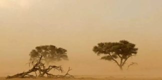 ഒമാനിൽ വിവിധയിടങ്ങളിൽ പൊടിക്കാറ്റിന് സാധ്യത; ജാഗ്രത പാലിക്കണമെന്ന് നിർദ്ദേശം