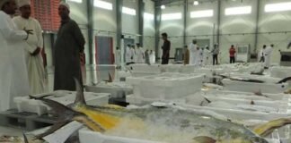 ഒമാനിലെ മത്സ്യബന്ധന മൂല്യം ഉയർന്നു; മുൻ വർഷത്തെ അപേക്ഷിച്ച് 12.7 ശതമാനം വർധനവ്